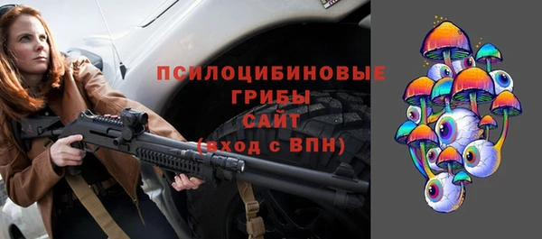 мдпв Абдулино