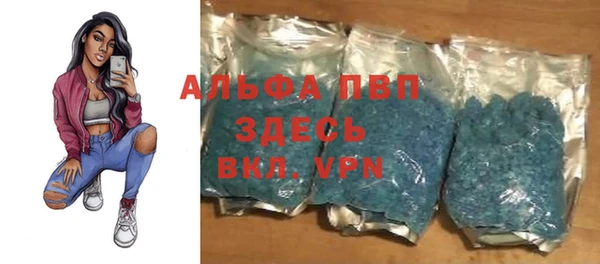крисы Абаза