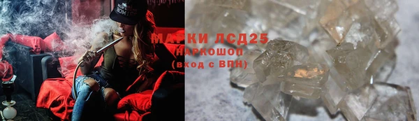 крисы Абаза