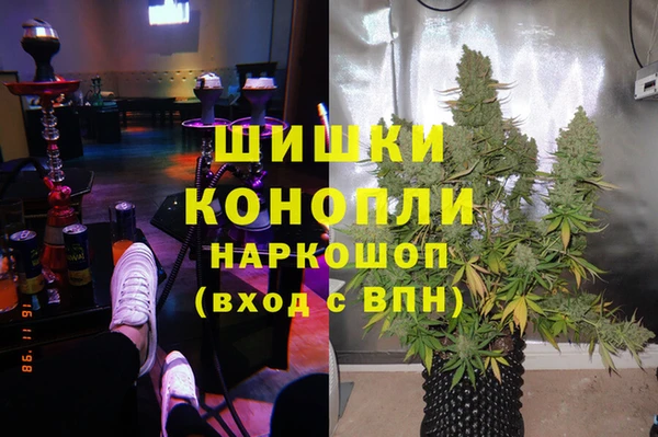 крисы Абаза