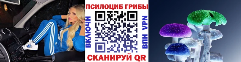 Галлюциногенные грибы GOLDEN TEACHER kraken ТОР Чегем